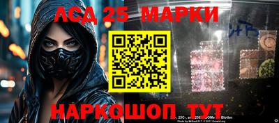шишки Боровичи