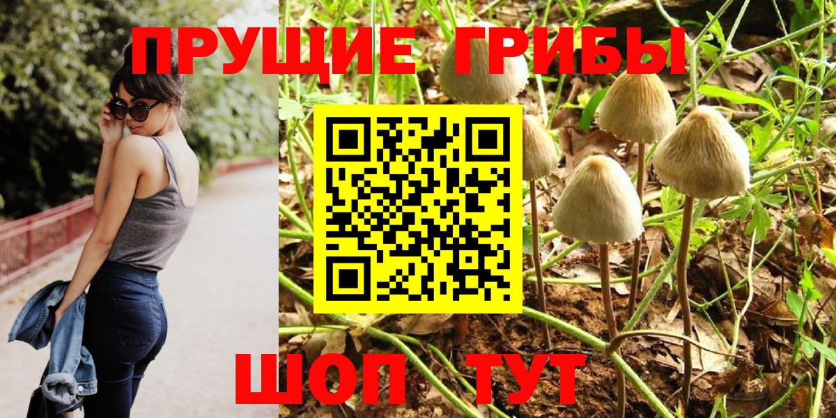 Псилоцибиновые грибы GOLDEN TEACHER Клинцы